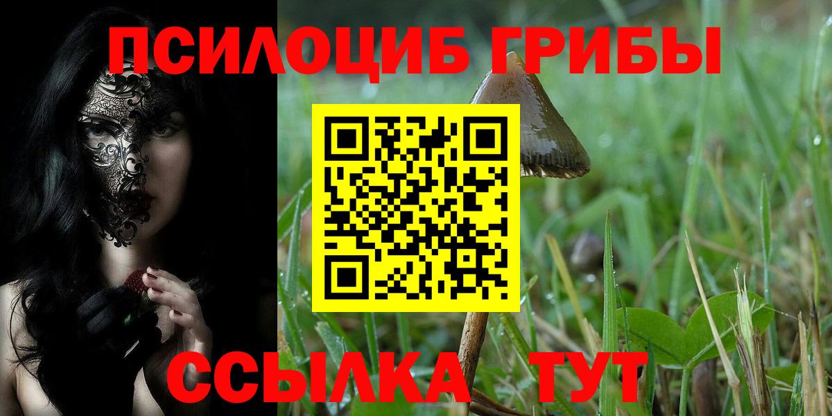 Грязи  Галлюциногенные грибы прущие грибы  Вход с VPN 