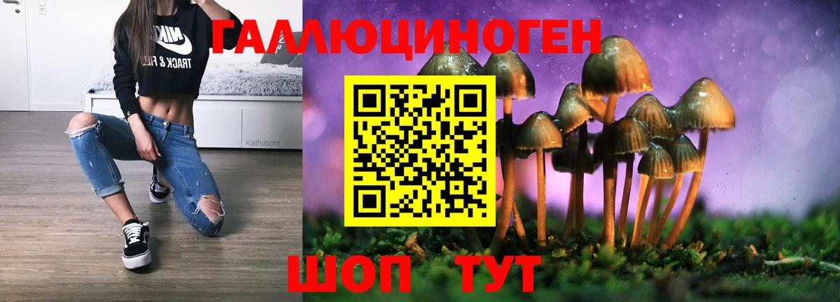 Галлюциногенные грибы Psilocybe Грязи